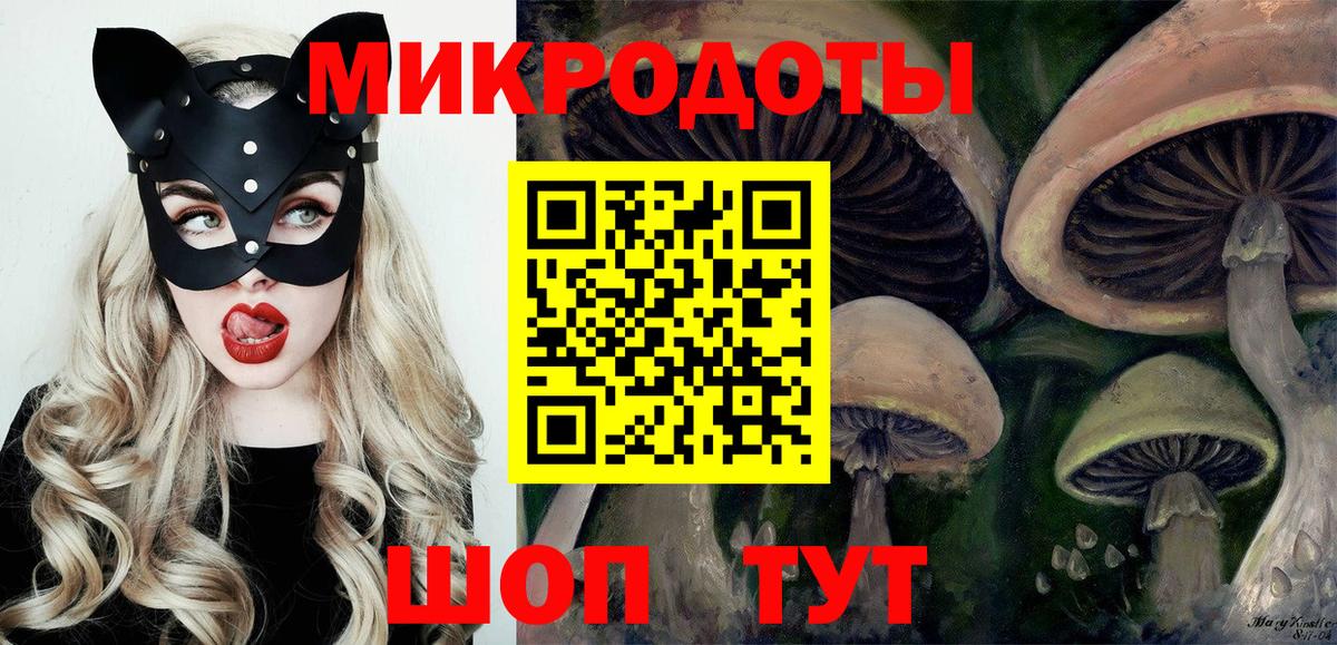 Псилоцибиновые грибы мицелий  Вход с VPN  Нерюнгри  Псилоцибиновые грибы прущие грибы 